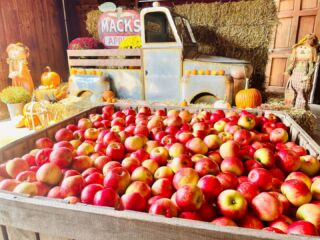 Apples, McIntosh - Trombly Gardens, LLC